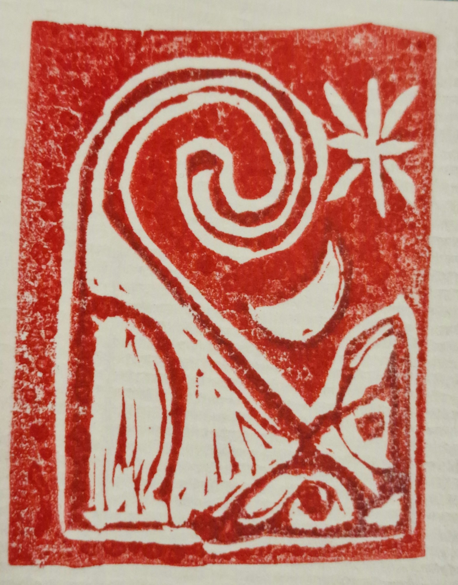 Nueva obra